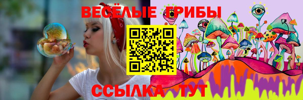 Зеленогорск  Псилоцибиновые грибы Psilocybine cubensis  Вход с VPN 